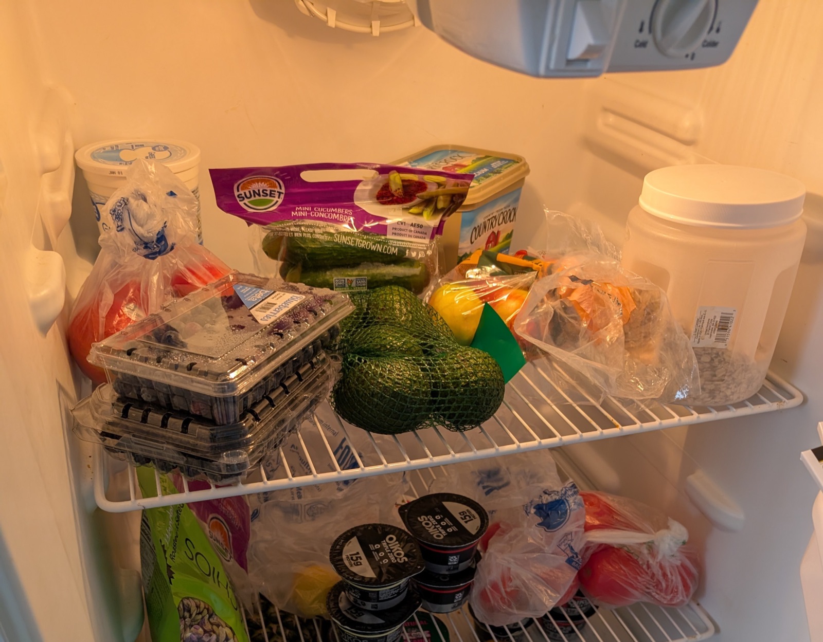The fridge, stocked